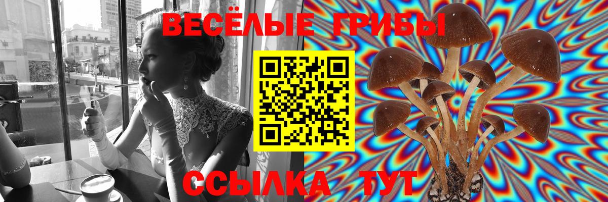 Галлюциногенные грибы MAGIC MUSHROOMS Котлас